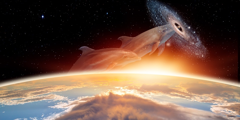 Dolphin Nebula - Mystical Source of DevOps Passion